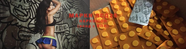 стафф Новодвинск