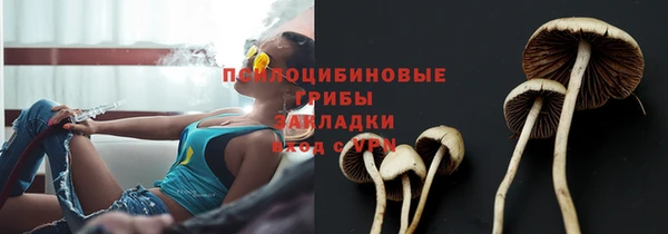 2c-b Нефтекумск