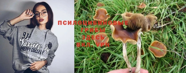 2c-b Нефтекумск