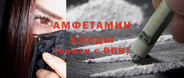 сатива Новокубанск