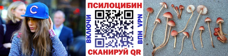 Псилоцибиновые грибы прущие грибы  Белореченск 