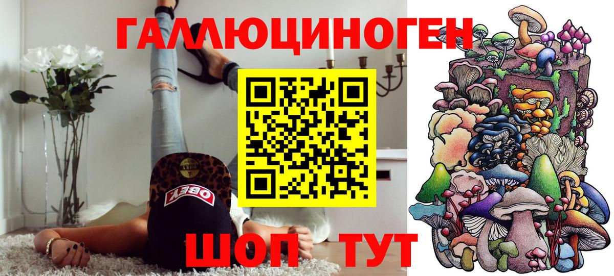 Псилоцибиновые грибы Psilocybe Белореченск