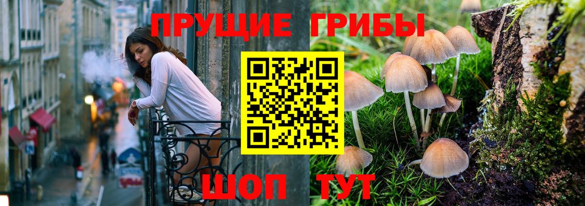 Галлюциногенные грибы прущие грибы Белореченск