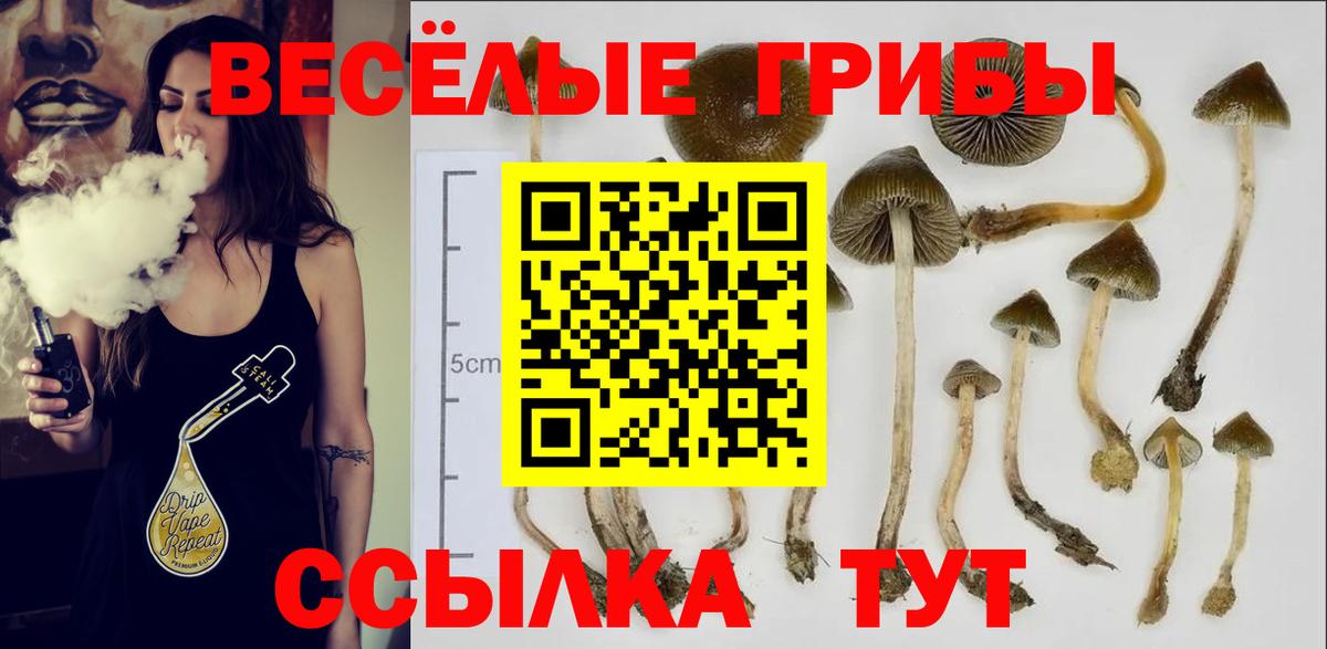 Псилоцибиновые грибы ЛСД  Вход с VPN  Белореченск 